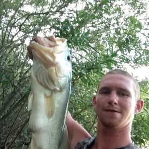 Meet your Posher, Abe